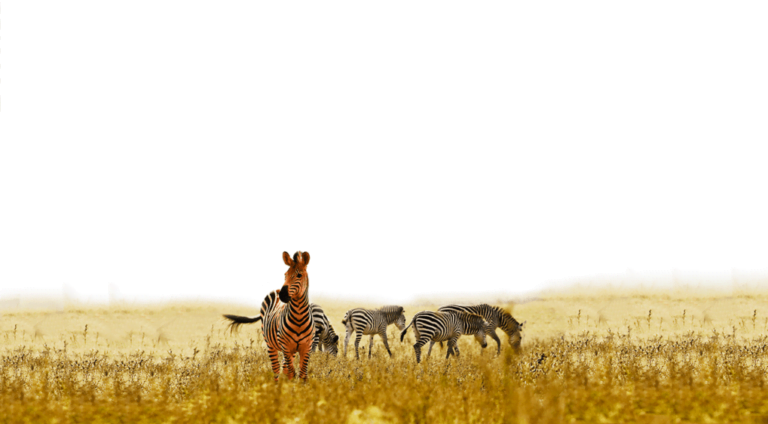 So you need a new job